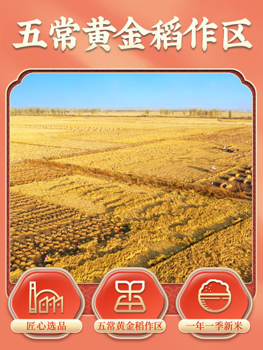 【买一送一 共发两袋】袁谷农场五常福稻5kg 商品图2
