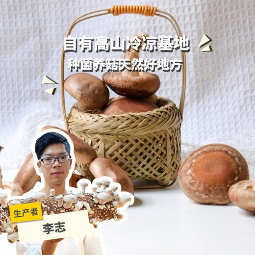 有机鲜香菇（陆运包邮） | 绿家自产 * Organic tea shitake | Self-production 商品图0