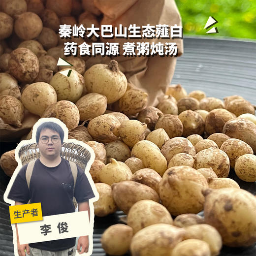 生态薤白（野葱/小根蒜） | 合作生产 * Ecological Allii Macrostemonis Bulbus | Partner Production 商品图0