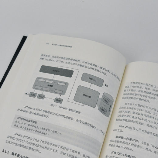 大模型推荐系统实战 从预训练到智能代理部署 大模型应用开发 Agent智能体开发LLM deepseek大模型 商品图2