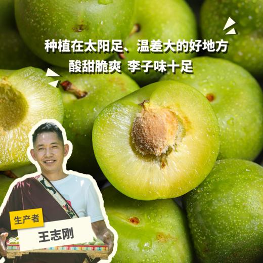 生态青脆李 | 合作生产*  Ecological Green crispy plum | Partner Production 商品图0