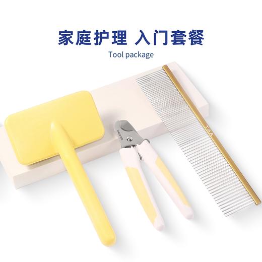 TAA 它它家庭入门进阶猫狗护理套餐排梳开结针梳指甲刀 商品图2