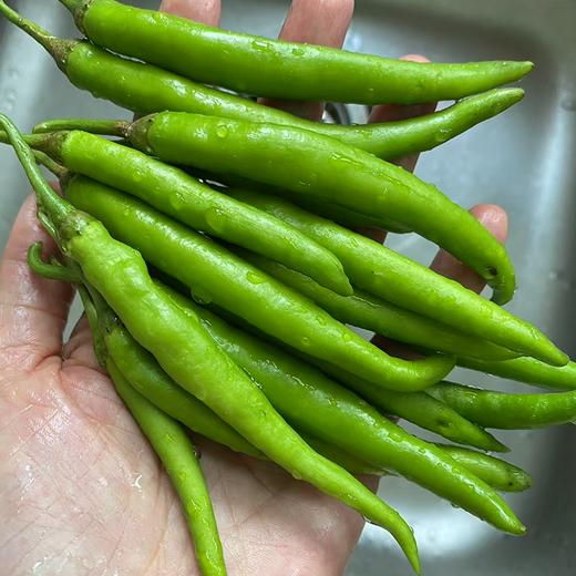 高山蔬菜（茄子/辣椒）/蜂蜜/土鸡蛋 商品图0