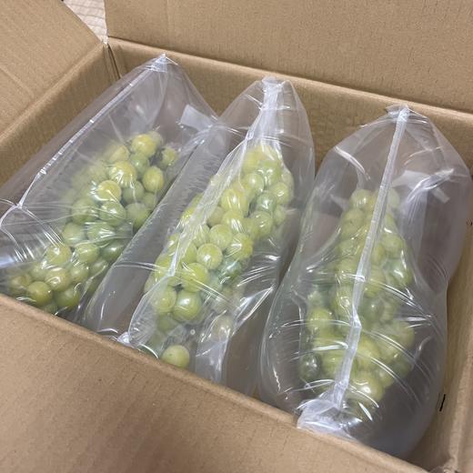 真用心种 阳光玫瑰葡萄 临猗 青葡萄，有籽，纯甜 商品图8