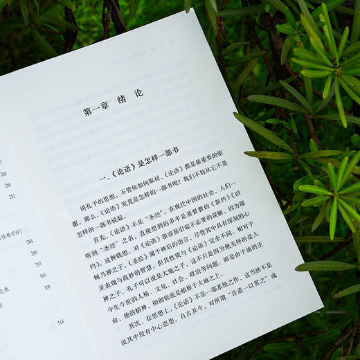 孔子传：华夏的崩坏与新生 商品图3