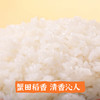 袁谷农场辽河玉珠香米5kg东北粳米蟹稻大米10斤一年一季当季新米 商品缩略图2