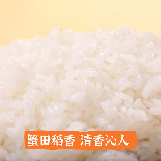 袁谷农场辽河玉珠香米5kg东北粳米蟹稻大米10斤一年一季当季新米 商品图2