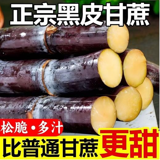 【脆甜多汁❗️广西黑皮甘蔗】现采现发，农家种植，自然生长，绿色健康！特产新鲜当季水果整箱应当季甘蔗 商品图0