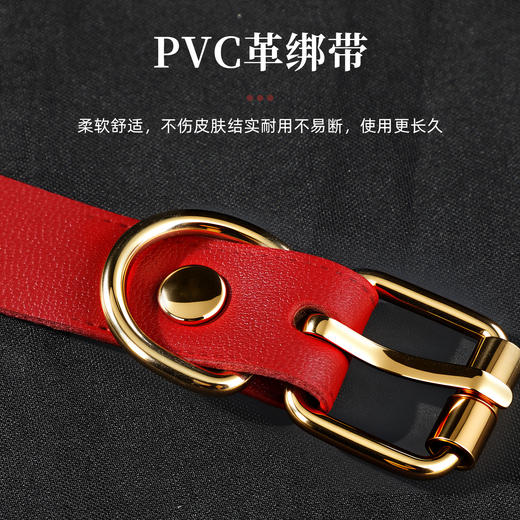 【SM】赠品口球搭配系列 商品图2