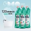 白倍极马桶解垢凝胶 商品缩略图4