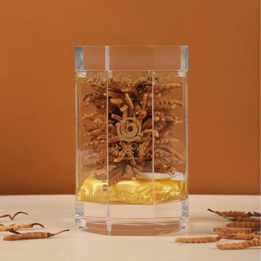 睿源堂·散装冬虫夏草(30-35#/kg）588# 商品图3