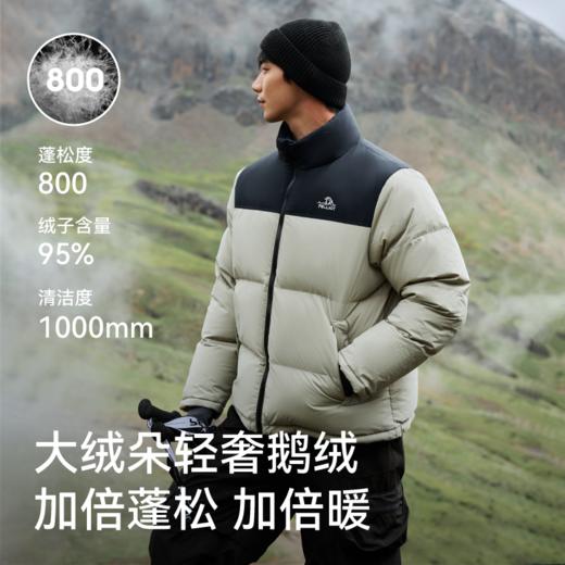 【鹅绒】伯希和户外800蓬羽绒服女2025新款男保暖抗寒防风外套 商品图1