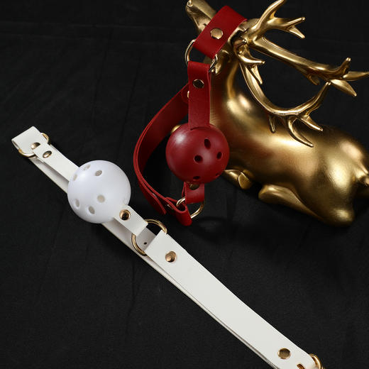 【SM】赠品口球搭配系列 商品图4