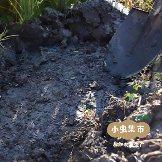 生态糙米奶 200ml*6盒/箱 | 合作农友生产，产自浙江金华，生产者：李明攀 *【公平贸易农人定价】 商品图10