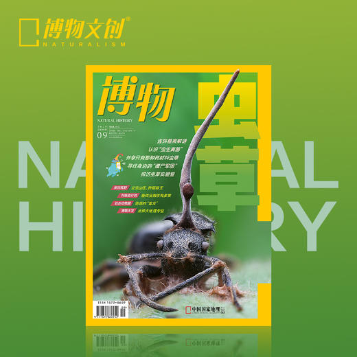 博物杂志 2025年9月刊  虫草 商品图0