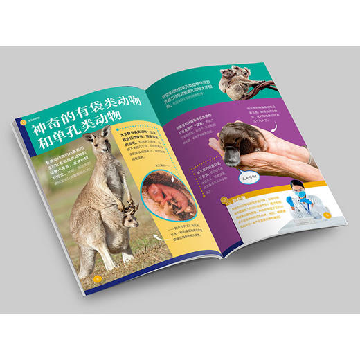 《了不起的生物》 商品图7