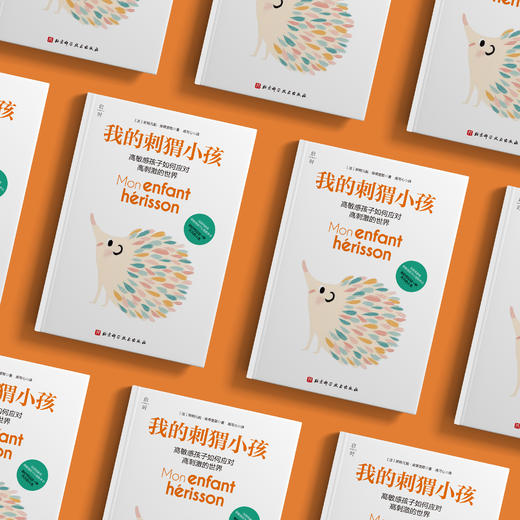 《我的刺猬小孩》 商品图2