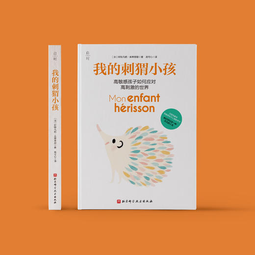 《我的刺猬小孩》 商品图1