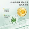 【泡沫型抑菌率99.9%】子初泡沫抑菌洗手液 300g/瓶 商品缩略图3
