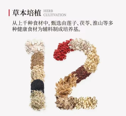 一朵燕有机本草银耳礼盒装（有机本草银耳80g*2罐+300ml焖烧杯） 商品图1