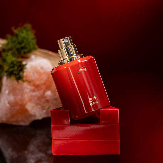 25年新香！闻献 龙吟 Documents  LÓNG  分装 商品图2