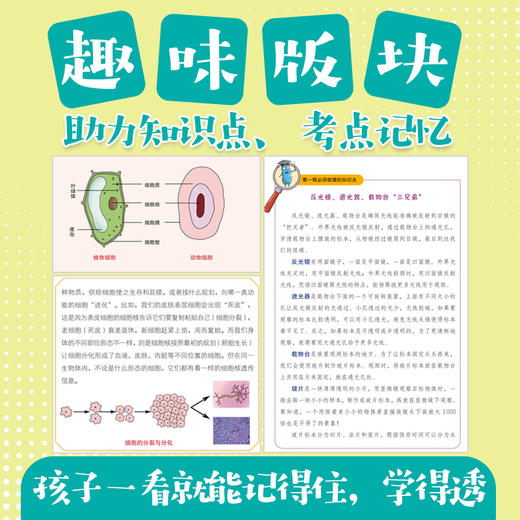 看一眼就记得住的生物趣谈 商品图2