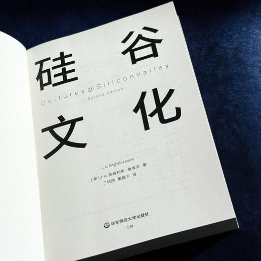 硅谷文化 英格利希·鲁埃克 薄荷实验 科技生活 商品图5