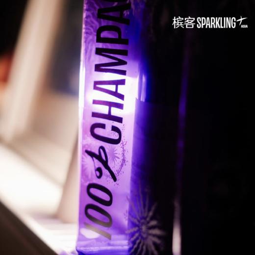夏日限定 | 槟客夏日多彩单支香槟冰袋 （需配合香槟一起下单，单拍需要额外支付运费） 商品图6