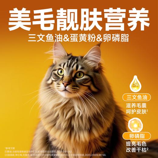 雷米高 澳宝猫粮鲜肉注浆猫粮成猫幼猫呵护肠胃美毛靓肤 澳宝鲜肉注浆全价全期猫粮 2kg 商品图3