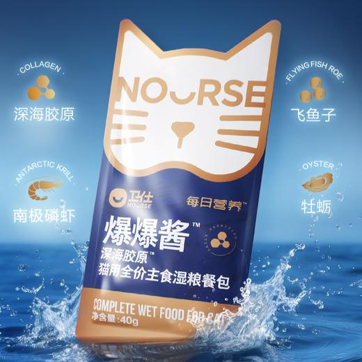 卫仕爆爆酱宠物猫零食营养餐包猫咪补水罐头全价主食成幼猫湿粮包 商品图0