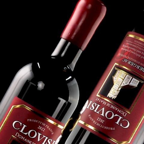 克洛维一世*城堡干红葡萄酒 750ml*1瓶 商品图3