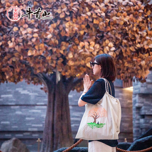 南京牛首山明星同款刺绣尼龙包购物袋单肩包大容量 商品图3