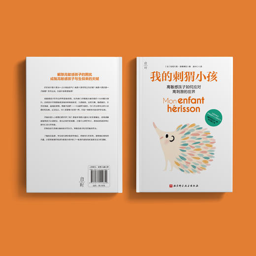 《我的刺猬小孩》 商品图8