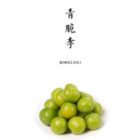青脆李大量成熟！！！