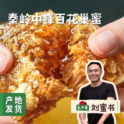秦岭中蜂百花蜂巢蜜 200g /盒 | 合作农友生产，产自陕西秦岭，生产者：刘蜜书*【公平贸易农人定价】 商品图0