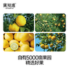 450g蜜知道蜂蜜水 双柠味/香柚味 清润解腻 满满维C 商品缩略图5
