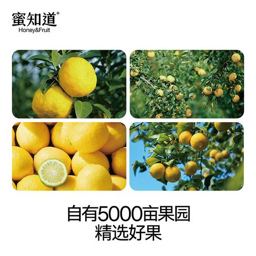 450g蜜知道蜂蜜水 双柠味/香柚味 清润解腻 满满维C 商品图5