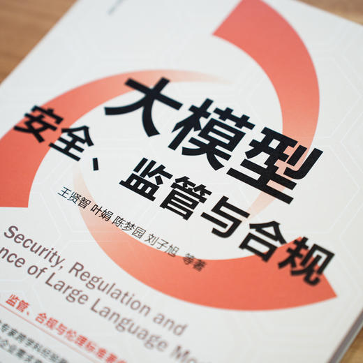 官网 大模型安全 监管与合规 王贤智 叶娟 陈梦园 刘子旭 网络空间安全技术丛书 AI大模型 大语言模型 生成式人工智能安全技术书 商品图3