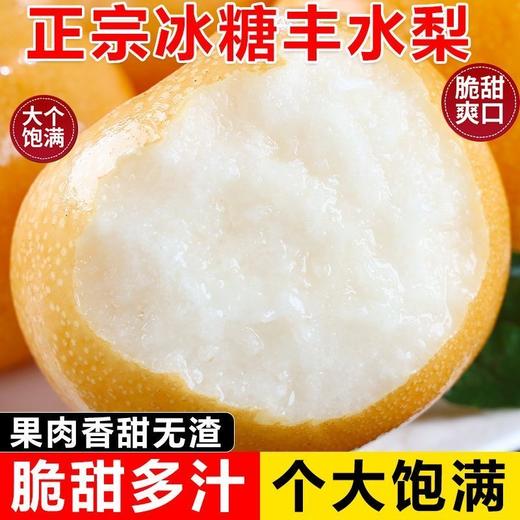 【脆甜多汁❗️山东冰糖丰水梨】现摘现发，果肉细腻，一口咬下香甜爆汁！正宗整箱新鲜梨子当季现摘水果非秋月梨山东莱阳丰水梨中秋节送礼物 商品图4