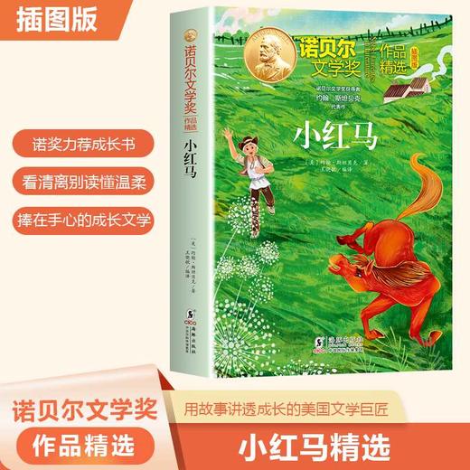 小红马(插图版) 商品图0