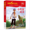 【桂银家庭共读】中国红青少年革命文化教育读本：小英雄雨来 商品缩略图0