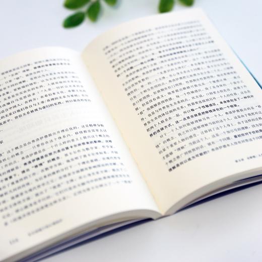 东方语境下的心理治疗 商品图3