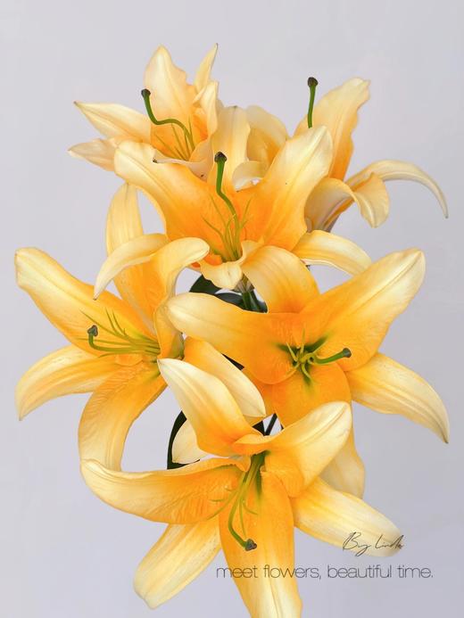 【AB级晚霞百合】3头3支9朵/份 商品图4