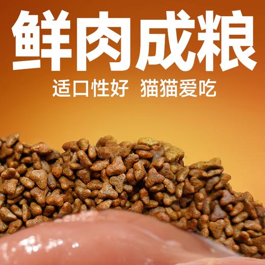 雷米高 澳宝猫粮鲜肉注浆猫粮成猫幼猫呵护肠胃美毛靓肤 澳宝鲜肉注浆全价全期猫粮 2kg 商品图4