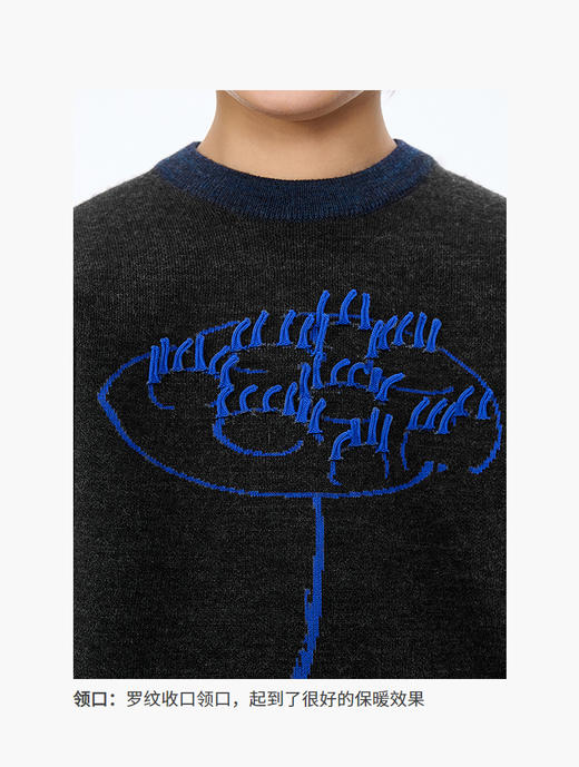 jnby  25年秋款  长袖套头毛衫  1P8311850 商品图5