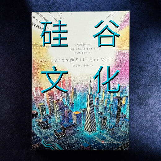 硅谷文化 英格利希·鲁埃克 薄荷实验 科技生活 商品图1