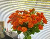 橙芭比多头玫瑰 10支( 40-45个花苞)/扎【GY】 商品缩略图3