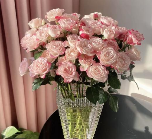 折射多头玫瑰 10支 (40-45个花苞)/扎【GY】 商品图3