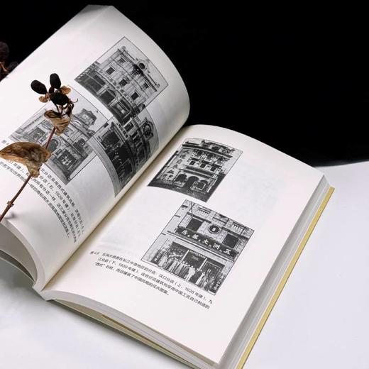 中华药商：中国和东南亚的消费文化 获列文森中国研究图书奖 商业史 中国工人出版社 商品图5