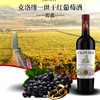 克洛维一世*传说干红葡萄酒 750ml*1瓶 商品缩略图1